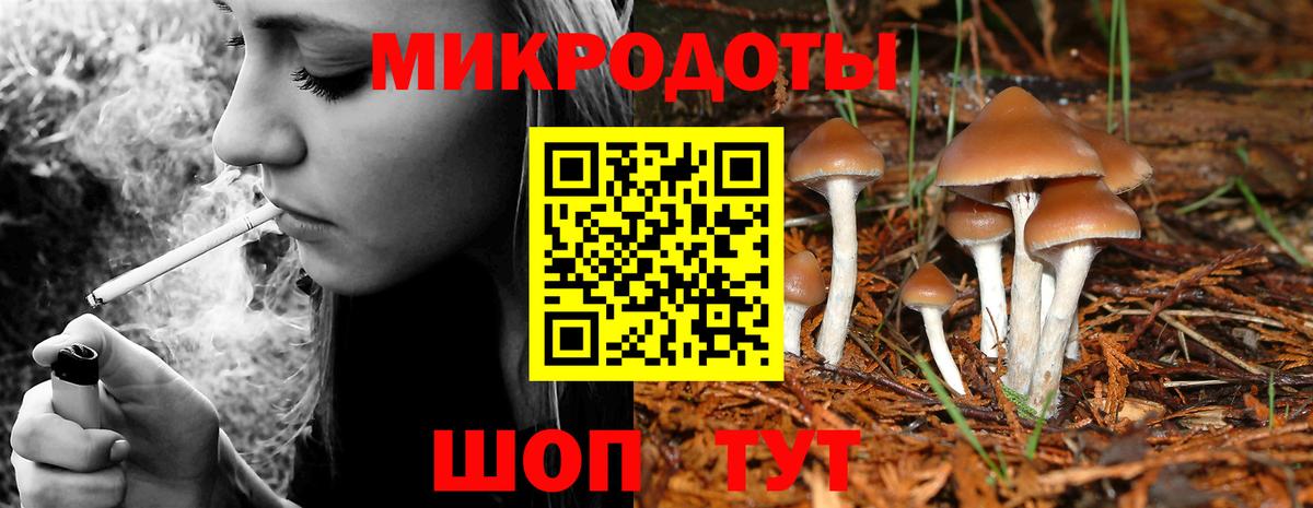 Галлюциногенные грибы GOLDEN TEACHER Томск