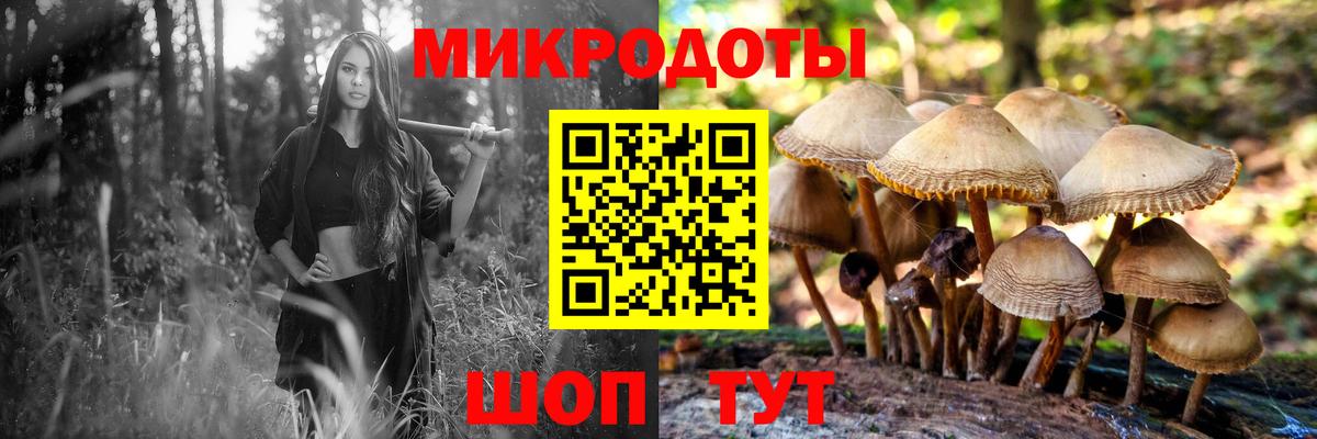 Томск  Галлюциногенные грибы мицелий  Вход с VPN 